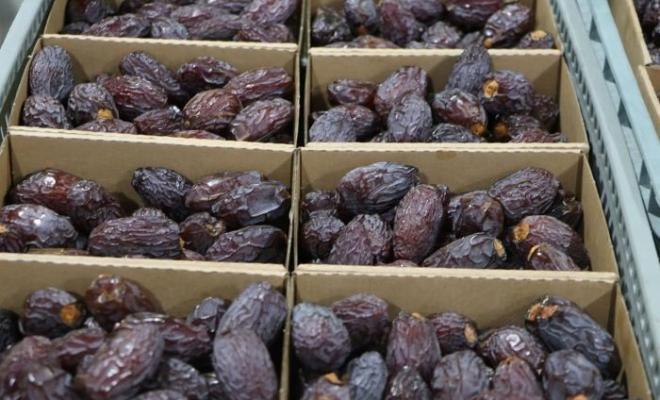 خطوة جديدة لتعزيز التبادل التجاري ودعم الصادرات الزراعية الفلسطينية