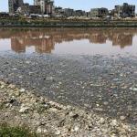 بلدية غزة تحذر من خطر فيضان مياه الصرف في بركة الشيخ رضوان شمال المدينة