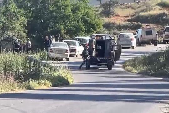 مستوطنون يهاجمون سنجل وجلجليا ويسرقون مئات رؤوس الأغنام شمال رام الله