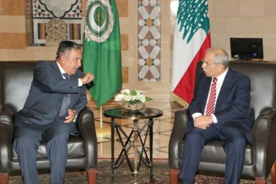 فهمي: تحرك عربي لدعم لبنان ومواجهة الاحتلال الإسرائيلي
