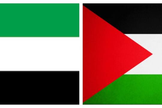 فلسطين تدين استهداف البنية التحتية في الإمارات وتؤكد تضامنها الكامل مع دول الخليج والأردن
