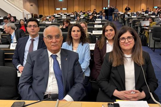 شاهين تشدد أمام مجلس حقوق الإنسان على حق فلسطين في تقرير المصير ومحاسبة الاحتلال