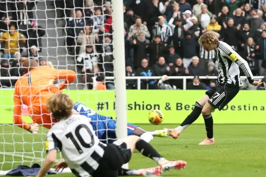 نيوكاسل يهدر فوزًا ثمينًا أمام تشيلسي ويتعادل 2-2 في البريميرليغ