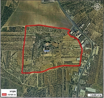 استهداف نحو 9 دونمات مزروعة بالزيتون قرب مستوطنة يعاد بناؤها