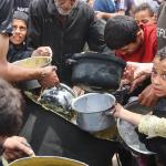 أطباء بلا حدود: سوء التغذية في غزة يهدد حياة الحوامل والمواليد وسط انهيار إنساني متواصل