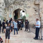 محافظة القدس: جماعات "الهيكل" تُحاول تهويد في باب الرحمة