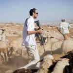 تحقيق لـ«60 دقيقة»: مزارع الأغنام وسيلة للضغط على الفلسطينيين وتهجيرهم من الضفة الغربية
