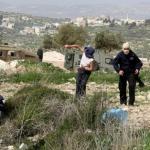 اعتداءات متزامنة للمستوطنين: إصابات في جنين واقتحامات بالأغوار واستيلاء على بئر مياه جنوب الخليل