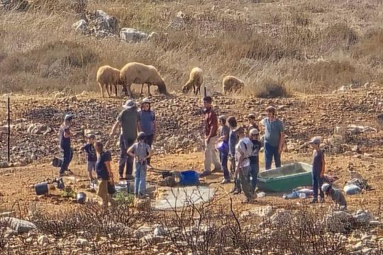 185 بؤرة استيطانية رعوية في الضفة الغربية.. توسع إسرائيلي يهدد الأراضي الفلسطينية ومصادر الرزق