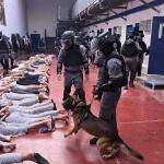 شهادات أسرى محررين: قيود وتعذيب داخل سجون الاحتلال خلال رمضان