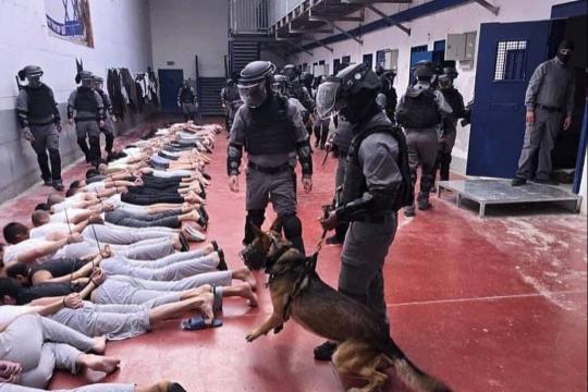 شهادات أسرى محررين: قيود وتعذيب داخل سجون الاحتلال خلال رمضان