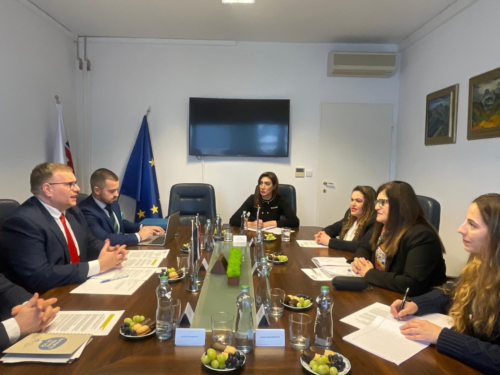 اللقاءات تركز على حماية الأطفال في غزة وتعزيز الالتزام بالقانون الدولي تجاه الفلسطينيين