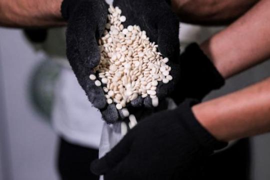 إحباط تهريب مواد مخدرة عبر شاحنات واردة إلى قطاع غزة