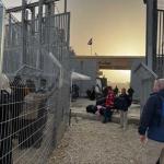 إعادة فتح معبر رفح بين قطاع غزة ومصر بعد إغلاق دام أكثر من 18 يوماً