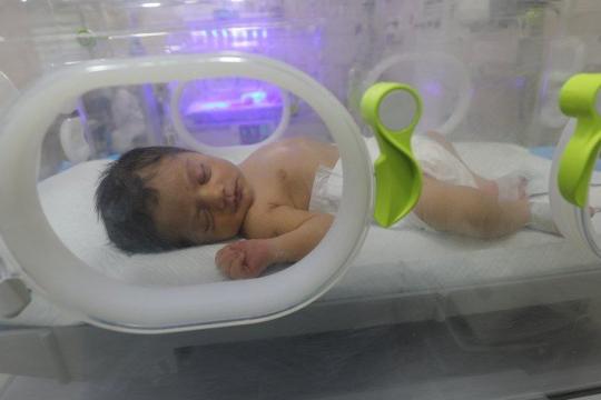 عودة 11 طفلاً خُدّجًا إلى غزة بعد استكمال علاجهم في مصر