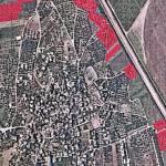 الاحتلال يصدر قرارًا بتدمير 59 دونمًا من الأشجار الفلسطينية في جنين