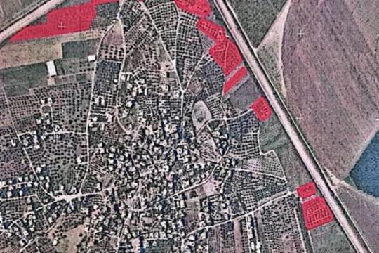 الاحتلال يصدر قرارًا بتدمير 59 دونمًا من الأشجار الفلسطينية في جنين