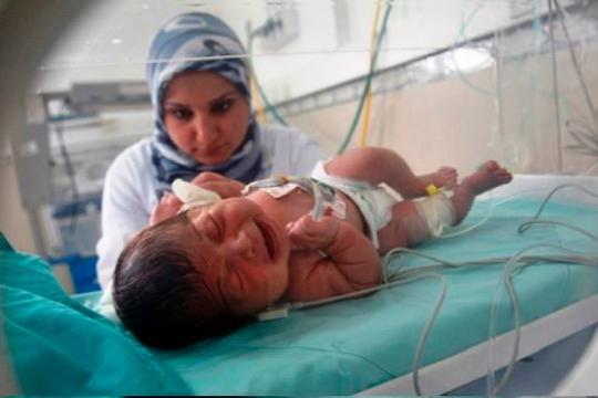 غزة تسجل 1701 مولوداً و159 حالة وفاة خلال شهر أيار