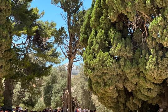 75 ألف مصلٍ يؤدون صلاة الجمعة في المسجد الأقصى وسط تشديدات إسرائيلية