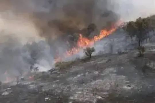 الجزائر تعلن إخماد جميع حرائق الغابات
