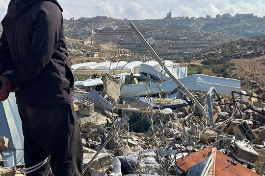 إصابة 4 فلسطينيين في اعتداء للمستوطنين قرب بيت لحم وقطع عشرات أشجار الزيتون شمالي الضفة