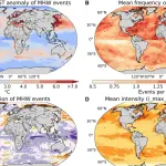 دراسة تكشف: موجات الحر البحرية تعزز شدة الأعاصير وترفع خسائرها الاقتصادية بشكل كبير