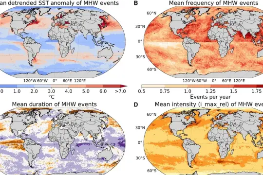 دراسة تكشف: موجات الحر البحرية تعزز شدة الأعاصير وترفع خسائرها الاقتصادية بشكل كبير