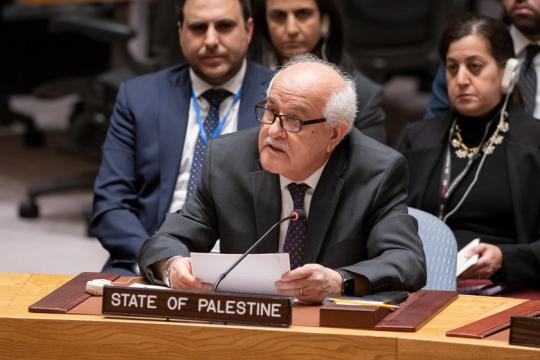 فلسطين أمام مجلس الأمن: تقرير أممي يوثق انتهاكات جنسية ارتكبتها قوات الاحتلال ونطالب بمحاسبة المسؤولين