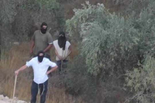 هيئة مقاومة الجدار والاستيطان: 21 اعتداءً على المزارعين وأراضيهم خلال 12 ساعة