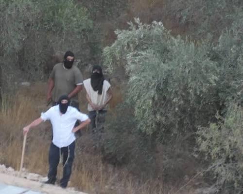 منع مزارعين من الوصول إلى أراضيهم في عدة محافظات بالضفة الغربية