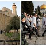الأوقاف الفلسطينية: 26 اقتحامًا للأقصى و84 منعًا لرفع الأذان في الحرم الإبراهيمي خلال يونيو