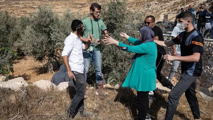 إتلاف أراضٍ زراعية في المغير وإصابة ثلاثة فلسطينيين بالضرب خلال هجوم للمستوطنين في بيتا
