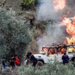 مستوطنون يحرقون أراضي زراعية ويعتدون على مركبات المواطنين في بيت عنان شمال غرب القدس