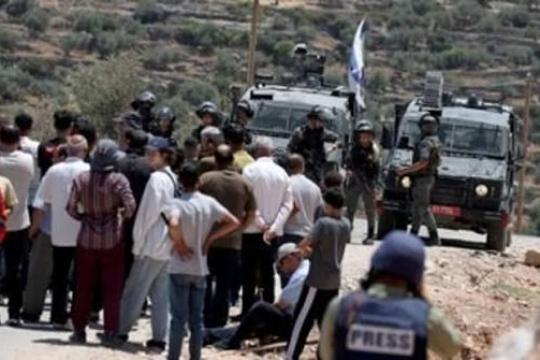 إصابة 5 فلسطينيين وإحراق منازل ومنشآت في هجمات للمستوطنين على فرعتا ويعبد
