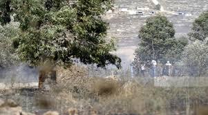 اعتداء جديد يستهدف الأراضي الزراعية الفلسطينية ضمن تصعيد متواصل للتوسع الاستيطاني