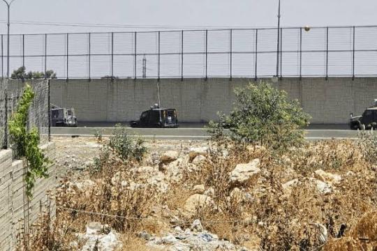 هيئة مقاومة الجدار والاستيطان: الاحتلال استولى على أكثر من 109 آلاف دونم منذ تشكيل الحكومة الحالية