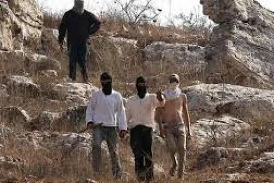 مستوطنون يعتدون على مسنّ في مخماس شمال شرق القدس