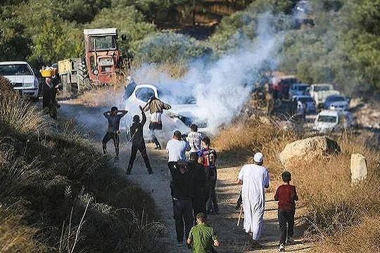 الأمم المتحدة: اعتداءات المستوطنين على موسم قطف الزيتون أداة للتهجير وسلب الأراضي الفلسطينية