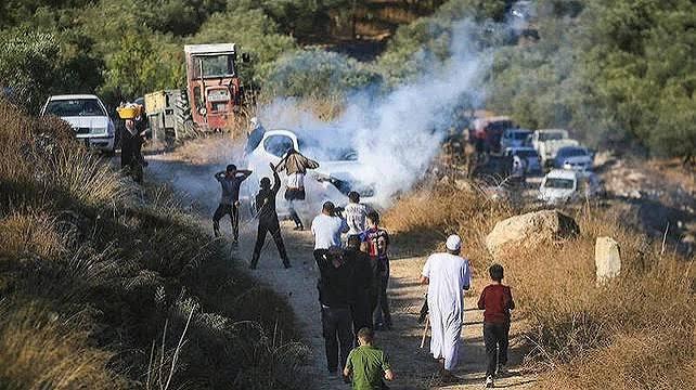 تسجيل 160 اعتداء خلال أسبوعين في الضفة الغربية