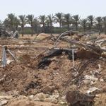 الأمم المتحدة: تدمير 87% من الأراضي الزراعية في غزة و"الفاو" تطلق نداءً عاجلًا