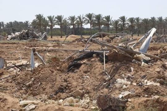 الأمم المتحدة: تدمير 87% من الأراضي الزراعية في غزة و"الفاو" تطلق نداءً عاجلًا