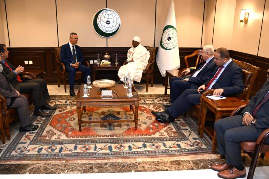 بيان عربي إسلامي إفريقي مشترك يدعو إلى اتخاذ إجراءات لمساءلة الاحتلال عن جميع جرائمه