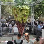 افتتاح مهرجان العنب في البلدة القديمة بالخليل