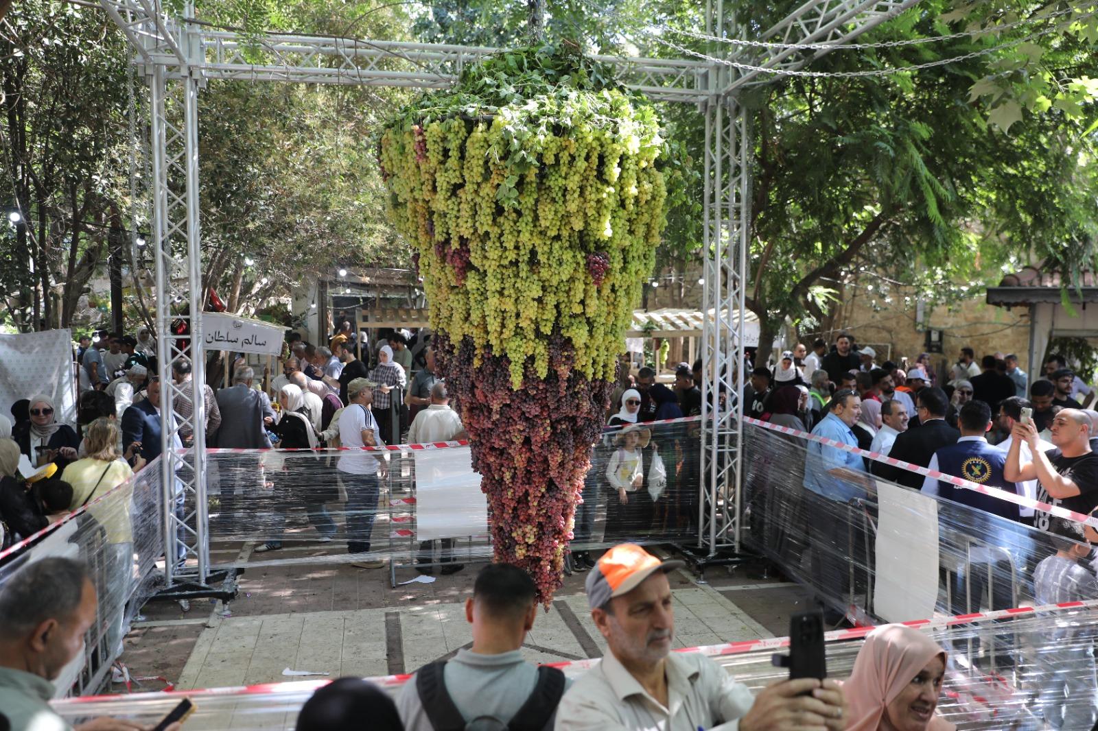 افتتاح مهرجان العنب في البلدة القديمة بالخليل
