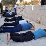 مستوطنون يؤدون طقوسًا تلمودية عند باب الساهرة وسط إجراءات مشددة في القدس