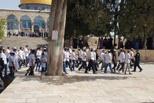 شرطة الاحتلال تروّج للتطوع في “وحدة جبل الهيكل” المسؤولة عن تأمين اقتحامات الأقصى