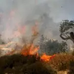 مستوطنون يحرقون أراضي زراعية في قرية دوما جنوب نابلس
