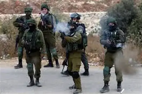 الاحتلال يطلق قنابل الغاز السام على قاطفي الزيتون في عبوين