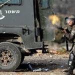 إصابة شاب برصاص الاحتلال قرب جدار الفصل في ترقوميا