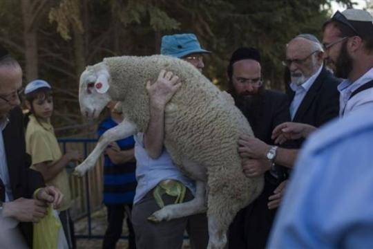 7 محاولات لإدخال "قربان الفصح" إلى الأقصى في أعلى حصيلة منذ 1967